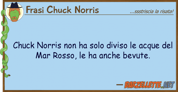 Frasi Chuck Norris chuck norris ha solo diviso acque