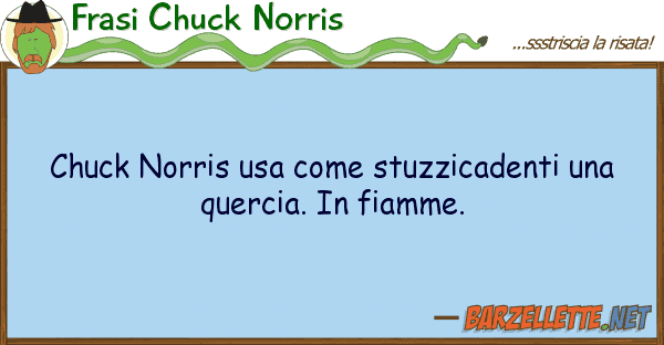 Frasi Chuck Norris chuck norris usa stuzzicadenti