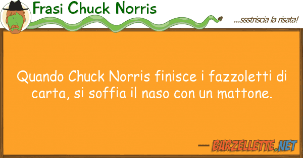 Frasi Chuck Norris quando chuck norris finisce fazzoletti