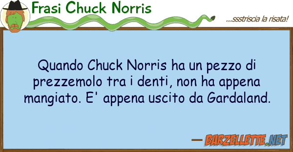 Frasi Chuck Norris quando chuck norris ha pezzo prezz