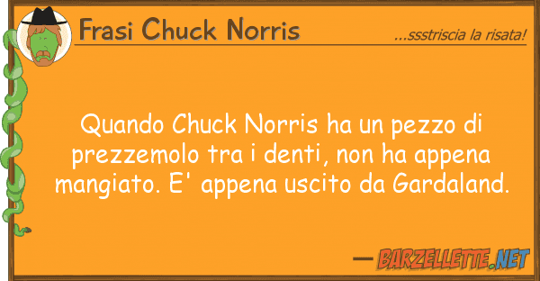 Frasi Chuck Norris quando chuck norris ha pezzo prezz