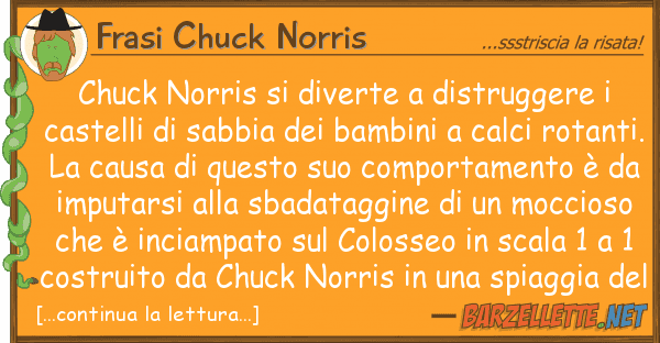 Frasi Chuck Norris chuck norris diverte distruggere