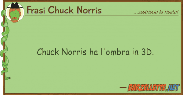 Frasi Chuck Norris chuck norris ha l'ombra 3d.