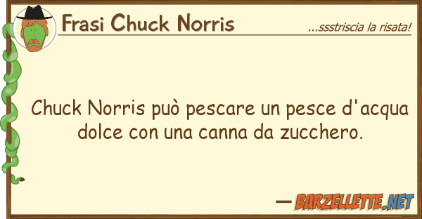 Frasi Chuck Norris chuck norris può pescare pesce d'acq