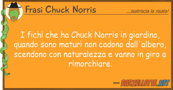 Frasi Chuck Norris fichi ha chuck norris giardino,