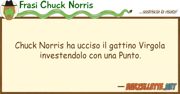 Frasi Chuck Norris chuck norris ha ucciso gattino virgol