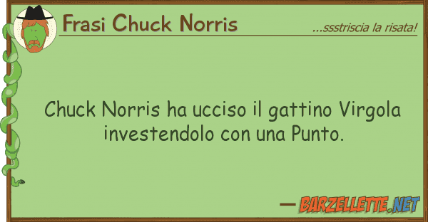 Frasi Chuck Norris chuck norris ha ucciso gattino virgol
