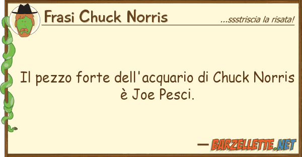 Frasi Chuck Norris pezzo forte dell'acquario chuck no
