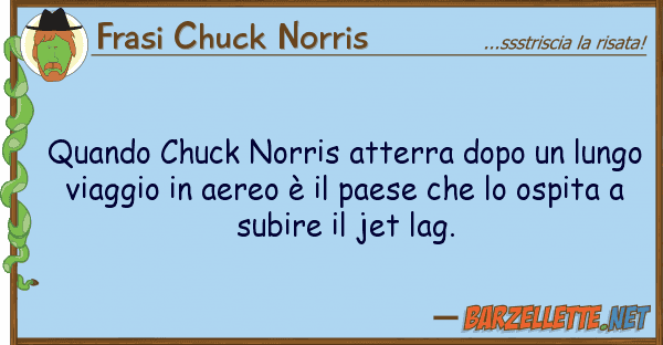 Frasi Chuck Norris quando chuck norris atterra dopo lung