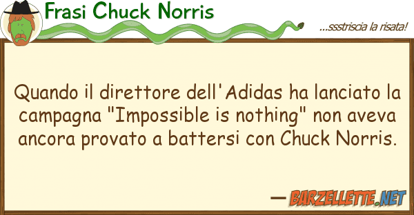 Frasi Chuck Norris quando direttore dell'adidas ha lanci