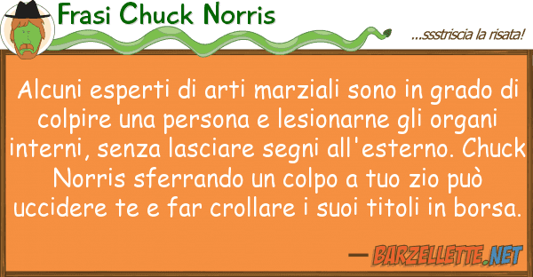 Frasi Chuck Norris alcuni esperti arti marziali sono