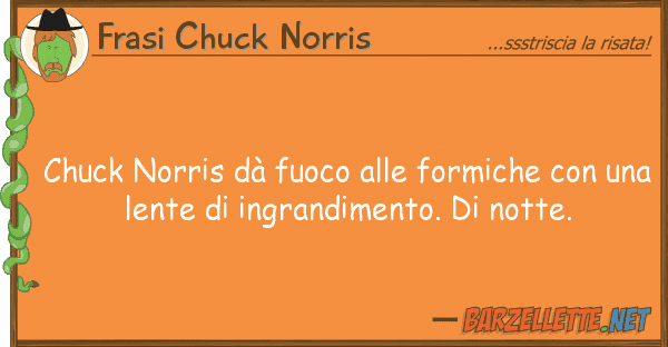 Frasi Chuck Norris chuck norris dà fuoco formiche