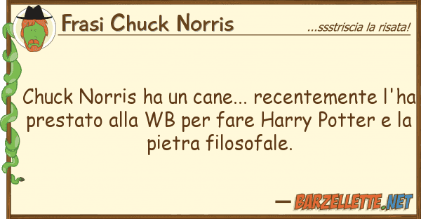 Frasi Chuck Norris chuck norris ha cane... recentemente