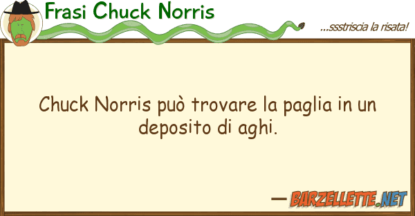 Frasi Chuck Norris chuck norris può trovare paglia u