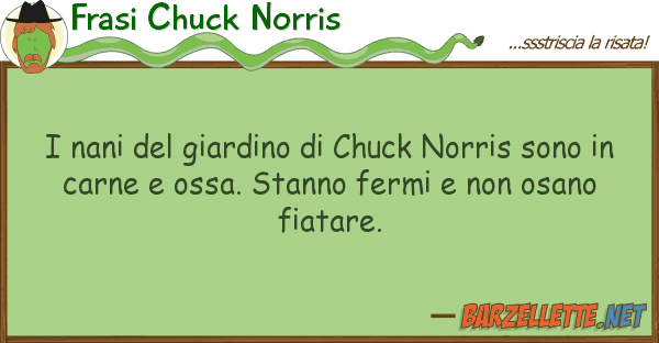Frasi Chuck Norris nani giardino chuck norris sono