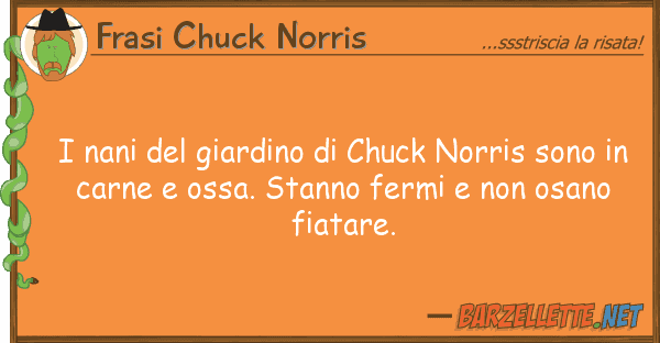 Frasi Chuck Norris nani giardino chuck norris sono