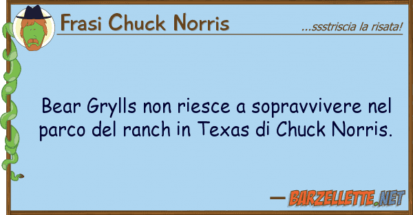 Frasi Chuck Norris bear grylls riesce sopravvivere