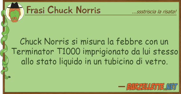 Frasi Chuck Norris chuck norris misura febbre