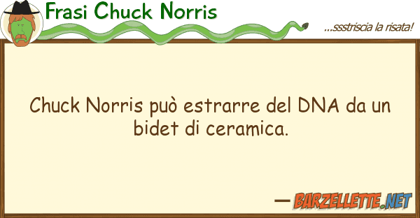 Frasi Chuck Norris chuck norris può estrarre dna