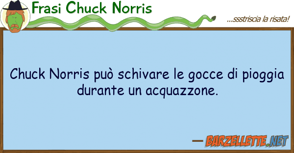 Frasi Chuck Norris chuck norris può schivare gocce p