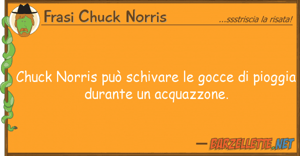 Frasi Chuck Norris chuck norris può schivare gocce p