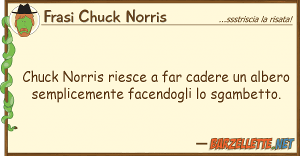 Frasi Chuck Norris chuck norris riesce far cadere albe