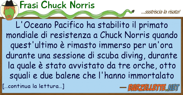 Frasi Chuck Norris l'oceano pacifico ha stabilito primat