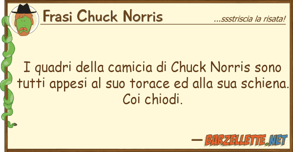 Frasi Chuck Norris quadri camicia chuck norris s