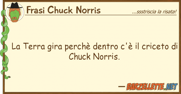 Frasi Chuck Norris terra gira perchè dentro c'è cri