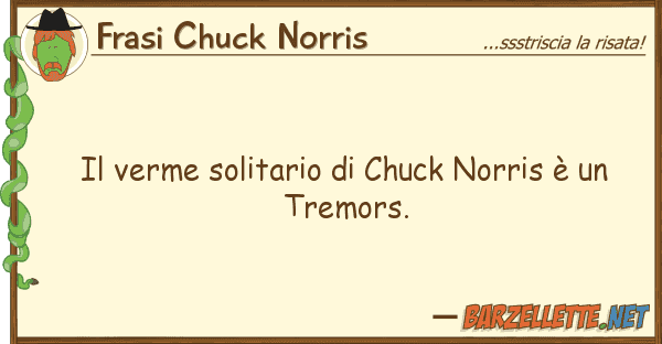 Frasi Chuck Norris verme solitario chuck norris è