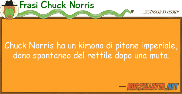 Frasi Chuck Norris chuck norris ha kimono pitone impe
