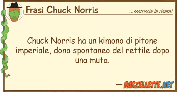 Frasi Chuck Norris chuck norris ha kimono pitone impe