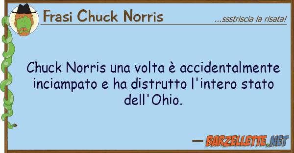 Frasi Chuck Norris chuck norris volta è accidentalment