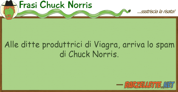 Frasi Chuck Norris ditte produttrici viagra, arriva