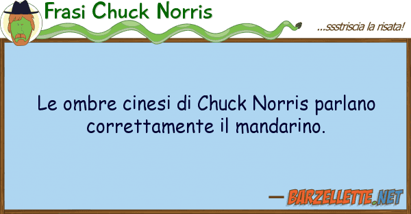Frasi Chuck Norris ombre cinesi chuck norris parlano