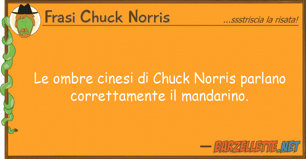 Frasi Chuck Norris ombre cinesi chuck norris parlano