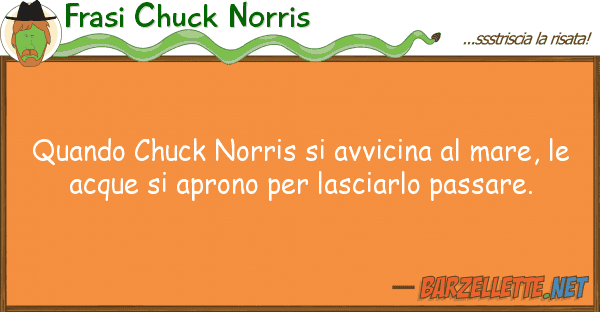 Frasi Chuck Norris quando chuck norris avvicina mare,