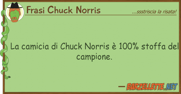 Frasi Chuck Norris camicia chuck norris è 100% stoff