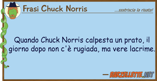 Frasi Chuck Norris quando chuck norris calpesta prato,