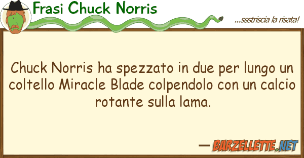 Frasi Chuck Norris chuck norris ha spezzato due lung