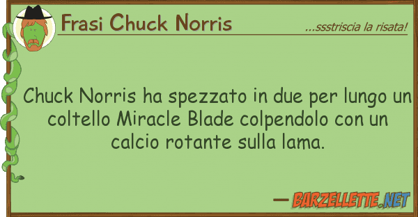 Frasi Chuck Norris chuck norris ha spezzato due lung