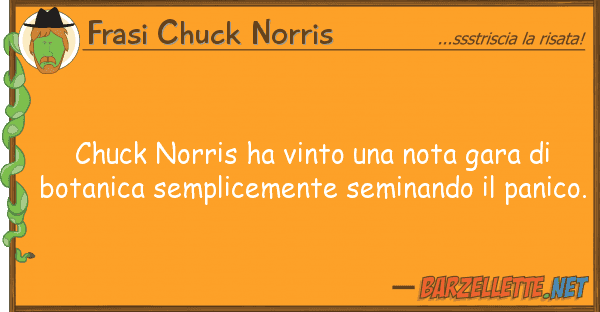 Frasi Chuck Norris chuck norris ha vinto nota gara b