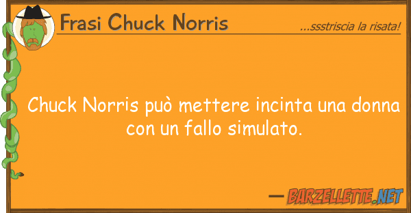 Frasi Chuck Norris chuck norris può mettere incinta do
