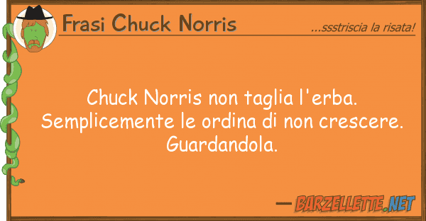 Frasi Chuck Norris chuck norris taglia l'erba. semplice