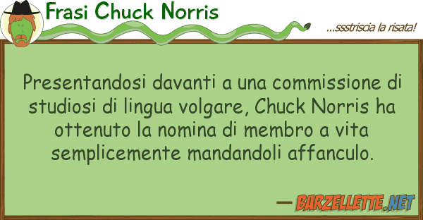 Frasi Chuck Norris presentandosi davanti commissione