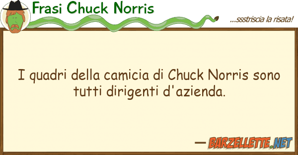 Frasi Chuck Norris quadri camicia chuck norris s