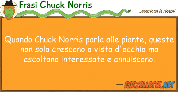 Frasi Chuck Norris quando chuck norris parla piante, q