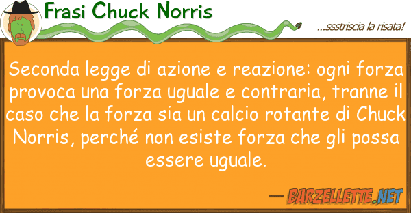 Frasi Chuck Norris seconda legge azione reazione: ogni