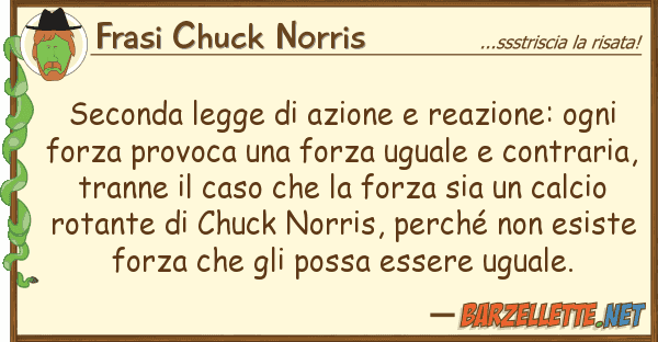 Frasi Chuck Norris seconda legge azione reazione: ogni