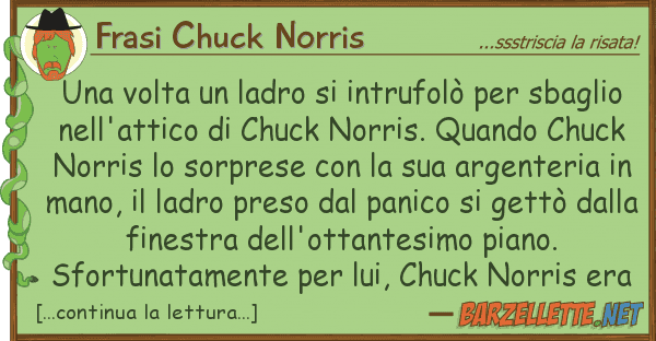 Frasi Chuck Norris volta ladro intrufolò sba